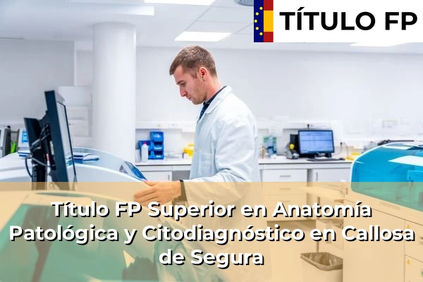 Título FP Superior en Anatomía Patológica y Citodiagnóstico en Simat de la Valldigna 131 Título FP Superior en Anatomía Patológica y Citodiagnóstico en Callosa de Segura