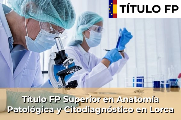 Título FP Superior en Anatomía Patológica y Citodiagnóstico en Murcia 45 Título FP Superior en Anatomía Patológica y Citodiagnóstico en Lorca