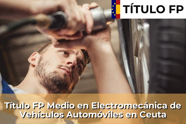 Empleo de Técnico en transporte sanitario urgente 105 Título FP Medio en Electromecánica de Vehículos Automóviles en Ceuta