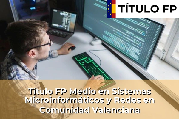 Empleo de Técnico en transporte sanitario urgente 278 Título FP Medio en Sistemas Microinformáticos y Redes en Comunidad Valenciana